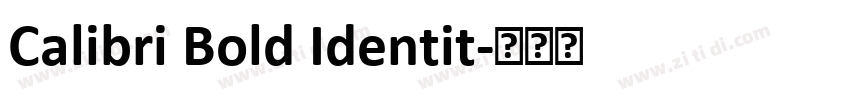 Calibri Bold Identit字体转换